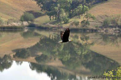 Alisal Guest Ranch & Resort Solvang Luaran gambar